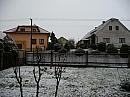 Třibřichy